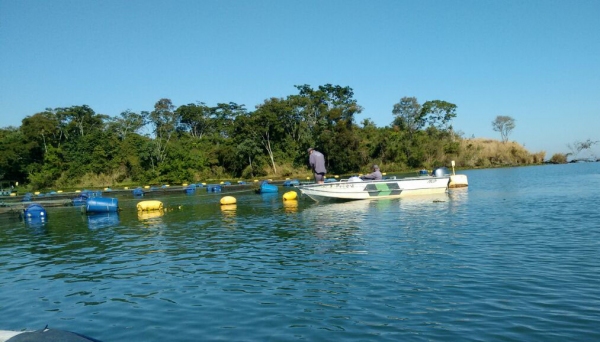 Operação resultou na prisão de dois homens e apreensão de barco, motor e redes, além de pescados (Foto: Cedida/PolÃcia Ambiental).