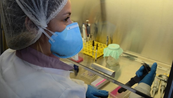 Exames de Zika serão obrigatórios para planos de saúde a partir desta semana (Foto: Rovena Rosa/ Agência Brasil).