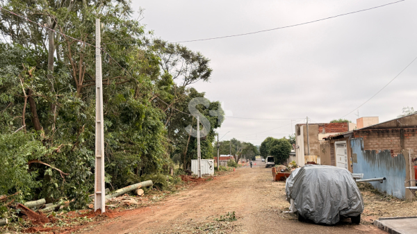 Queda de arvores danificou estrutura eletrica, casas e carros no fim de semana no Dorigo (Siga Mais).