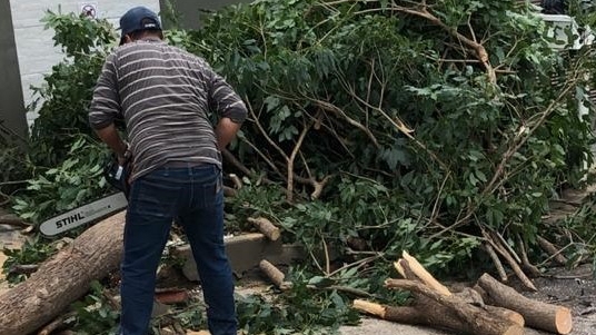 Dados da pasta apontam que desde o início das chuvas já foram registradas mais de 50 ocorrências, entre queda de árvores, galhos, entre outras situações (Da Assessoria).