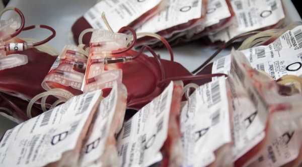 Proibição de doação de sangue por homens homossexuais é inconstitucional, decide STF (Imagem: Agência Pará).