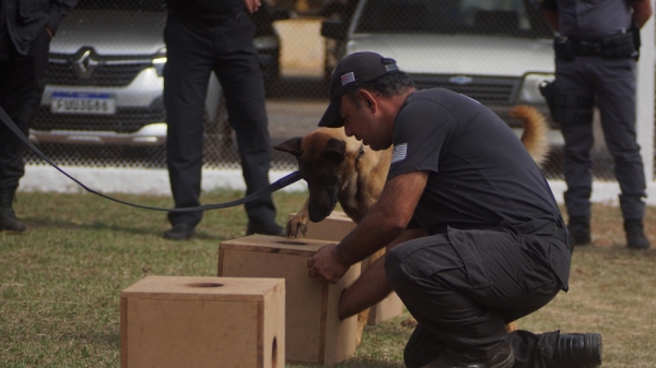 Trinta cães farejadores foram utilizados durante o seminário (Divulgação/Croeste/SAP).