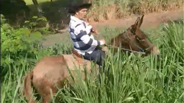 Vereador Bigode da Capoeira, a cavalo, na praça esportiva do Jardim Adamantina (Reprodução).