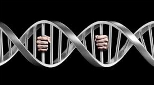Banco de DNA aumentará a taxa de resolução de investigação de qualquer crime, principalmente de crimes que deixam vestígios corporais (Ilustração).