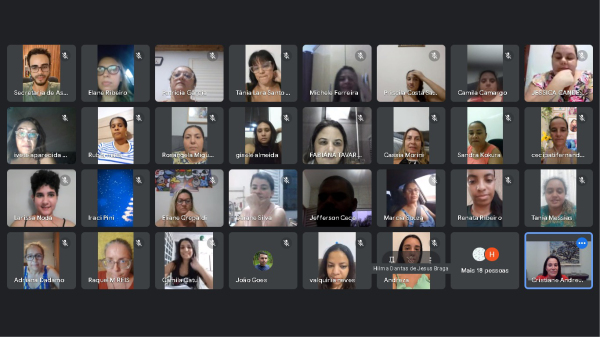 Tela do ambiente virtual com os participantes da capacita??o (Divulga??o).