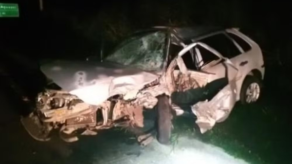 (Cedida/PM Rodoviaria).