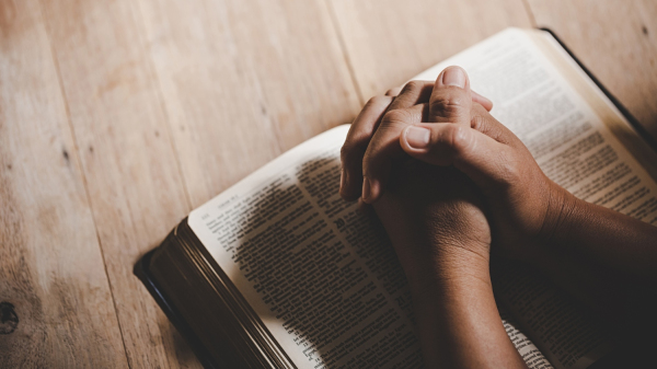 (Imagem ilustrativa: Freepik).