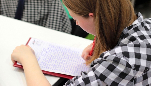 MEC divulga hoje o resultado do Fies. Nesta edição serão ofertados 75 mil financiamentos (Foto: Pixabay).