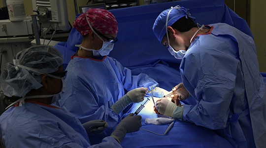 No ano passado, a estimativa da Associação Brasileira de Transplante de Órgãos apontava que 39.663 pessoas estavam na fila esperando por um transplante de órgãos (Imagens: Pìxabay).