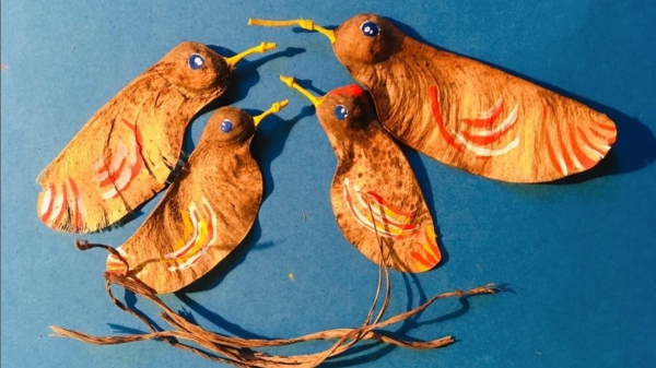 Técnicas de animação sobre o natural é uma das atividades da programação em artes visuais neste mês de junho no Sesc Thermas (Imagem: Ana Lucia de Godoy)