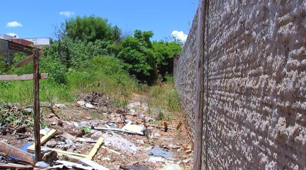 Imóveis que possibilitem a proliferação do mosquito Aedes aegypti no município de Adamantina podem receber multas no valor mínimo de R$ 182 reais, correspondente a 50 UFM (Reprodução/TV Tem).