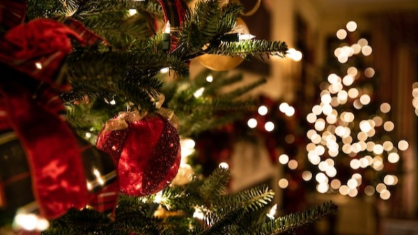 Concurso Natal Mágico vai premiar decoração de Natal em empresas de Adamantina (Imagem: Tessa Rampersad/Unsplash).