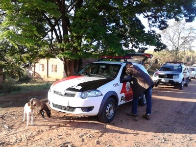 Ação mobiliza polícias da região na manhã desta quinta-feira. (Foto: OC News)