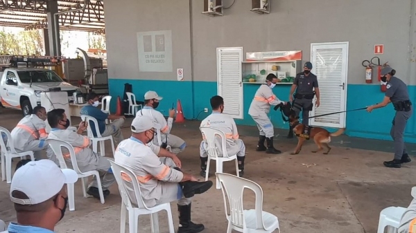 Canil da PM auxiliou no treinamento prático a leituristas (Divulgação/Energisa).