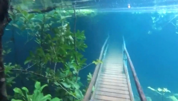 No atrativo ecoturístico, Bruno Rocha gravou o vídeo com imagens impressionantes de uma trilha submersa por águas cristalinas após a cheia do rio Olho d?Água, afluente do rio da Prata, em Jardim (MS), em parceria com o monitor ambiental Waldemilson Vera, do Recanto Ecológico Rio da Prata (Imagem: Cedida).