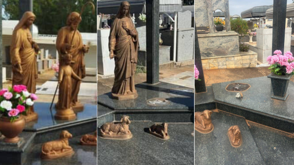 Tres fotos ilustram a sequencia de ocorr?ncias (Cedida).