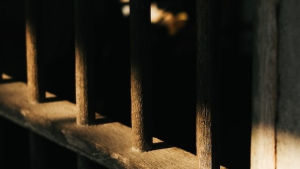 Para ministros, não há justificativa para tratamento diferenciado com base no grau de instrução (Foto de Tuyen Vo/Unsplash).