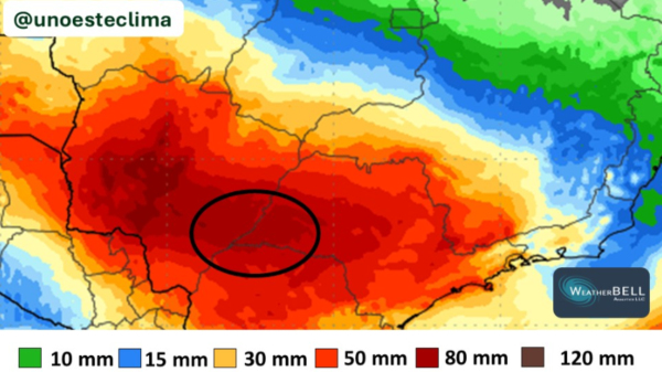 (Fonte: Unoeste Clima, em 06/06/2026).