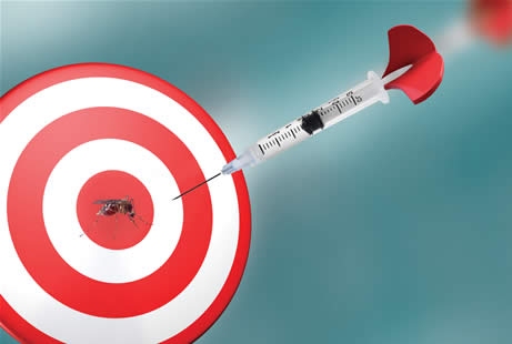 SP está na última fase dos testes da 1ª vacina brasileira contra a dengue