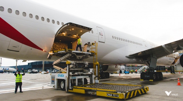 Carregamento com os primeiros 500 mil kits vindos da China desembarcou no aeroporto de Guarulhos (Divulgação/Vale).