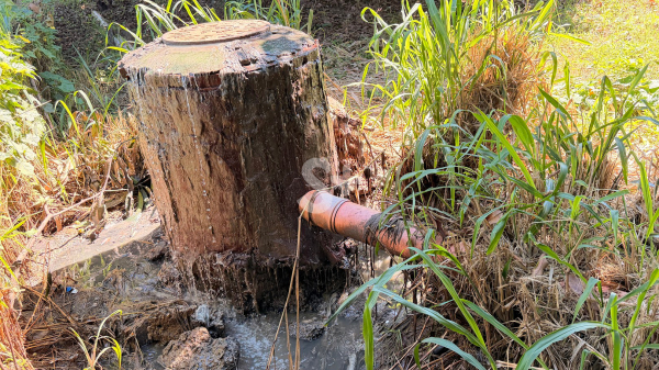 Local do vazamento de esgoto (Siga Mais em 30/03/2026, 10h32).