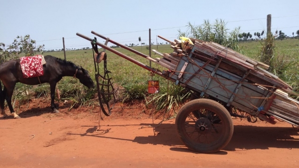 Sobrepeso na carroça caracterizou maus tratos ao cavalo (Foto: Cedida/PM Ambiental).