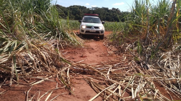 Na Operação policiais relataram as condições de 1.260 km de aceiros e faixas de domínio na região, das quais 97 km ocorreram em áreas especialmente protegidas (Divulgação/PM Ambiental).