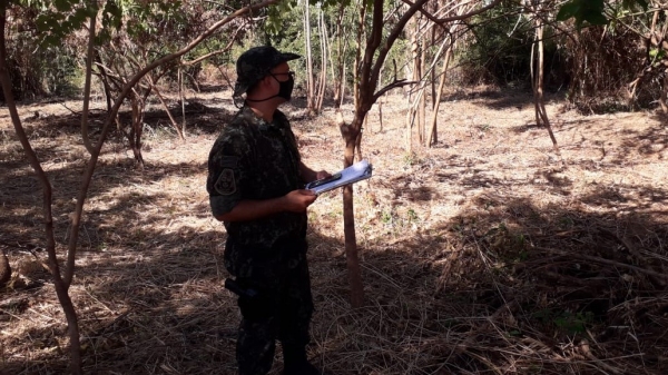 Ao fazer bosqueamento sem autorização, em área de mata nativa, homem foi autuado em Mariápolis (Imagem: Cedida/PM Ambiental).
