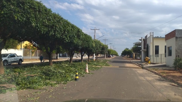 Poda de árvores no canteiro central da Avenida Prefeito Joaquim da Costa e Silva (Foto: Cedida).