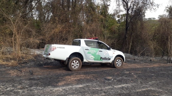 Queima atingiu vegetação nativa em estágio inicial de regeneração (Divulgação/PM Ambiental).