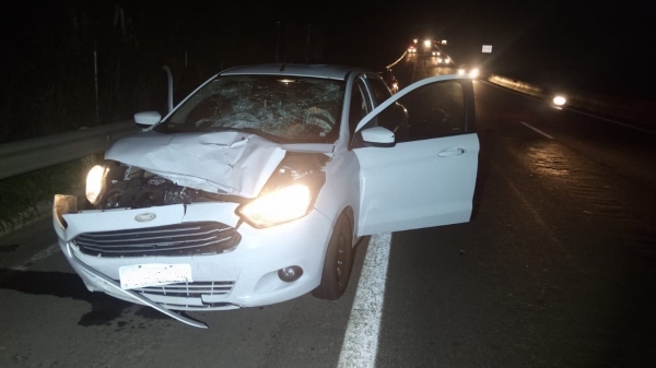 Impacto na frente do veículo, em razão do atropelamento (Cedida/PM Rodoviária).