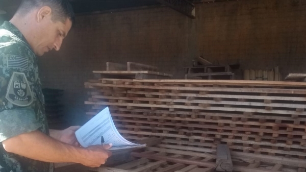 Fiscalização realizada na área de depósito da madeireira (Divulgação/PM Ambiental).