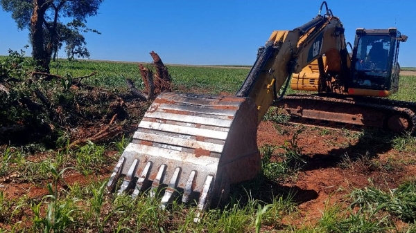 Máquinas eram usadas para arrancar as árvores e enterrá-las na propriedade rural (Divulgação/PM Ambiental).