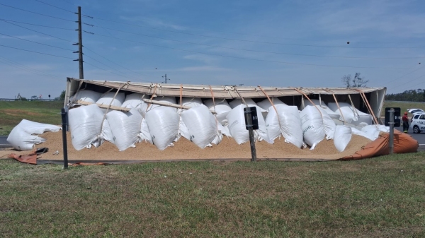 Carreta com carga de grãos, em bag, tombou no local (Cedida/PM Rodoviária).