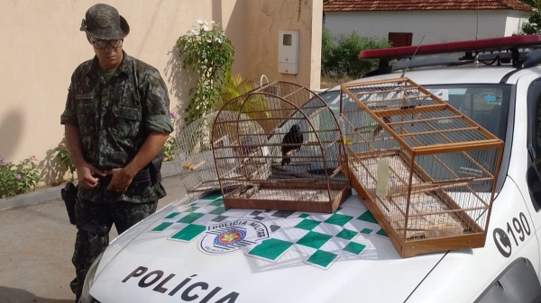 Do plantel fiscalizado, cinco aves silvestres foram soltas (Cedida/PM Ambiental).