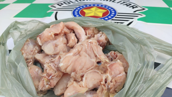 Carne estava no freezer do morador (Cedida/PM Ambiental).