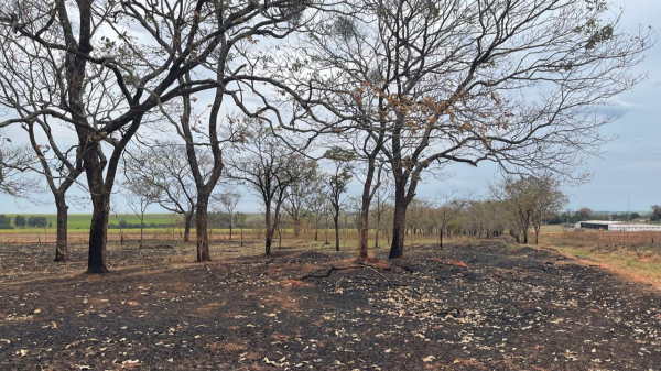 (Cedida/PM Ambiental).