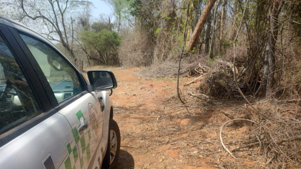 Equipes na propriedade confirmaram o dano ambiental (Cedida/PM Ambiental).