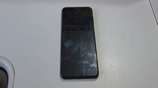 Celular furtado foi recuperado pela Policia Civil (Cedida/PC).