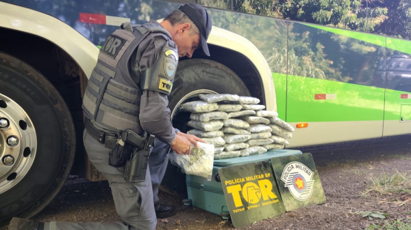Passageiro levava droga conhecida como Colombiana Gold (Cedida/PM Rodoviaria).