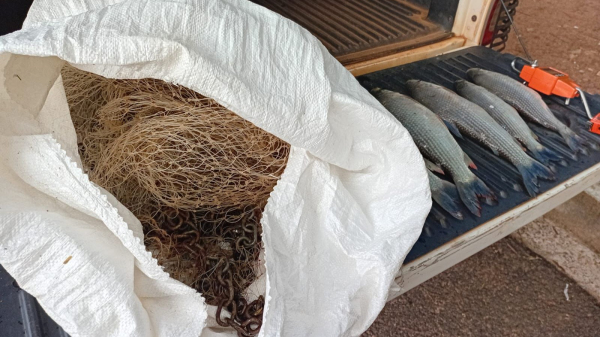 Tarrafa e parte dos peixes apreendidos pela Policia Militar Ambiental (Cedida/PM Ambiental).