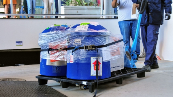 Banco de células foi transportado em nitrogênio líquido e o banco de vírus em gelo seco (Foto: Pedro Paulo/Fiocruz).