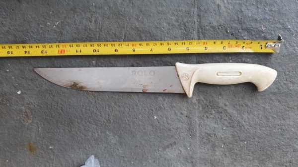 Faca apreendida, possivelmente utilizada no crime (Foto: Polícia Civil/Cedida).