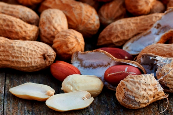 Reunião discute expansão da produção do amendoim na região e novos mercados para o setor