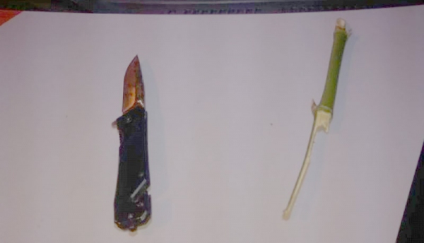 Canivete e um pedaço de bambu, armas que teriam sido usadas na prática do duplo homicÃdio (Foto: Cedida/PM).