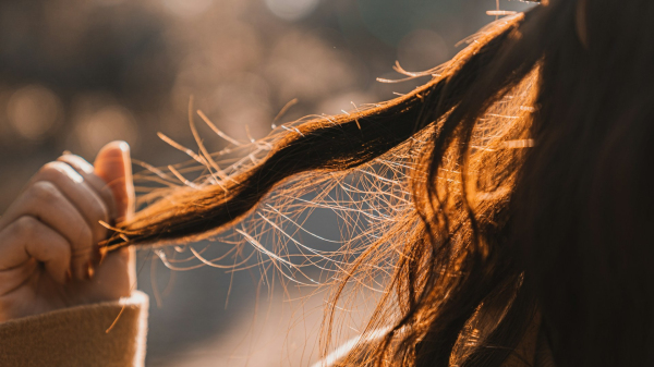 (Imagem ilustrativa (Shenzhong liu/Unsplash).