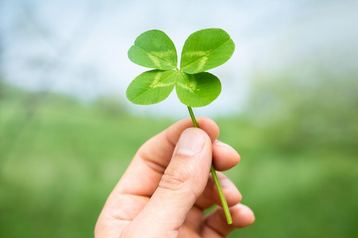 Lotof&aacute;cil, a nova preferida dos apostadores